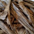 Picture Of Arganwood Used To Extract Arganwood Essential Oil From
