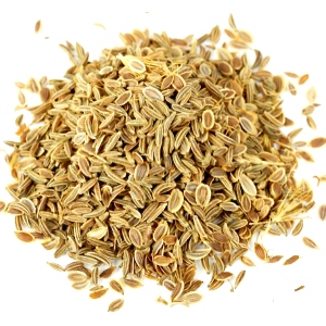Picture Of Carrot Seed Used To Extract Carrot Seed Essential Oil From
