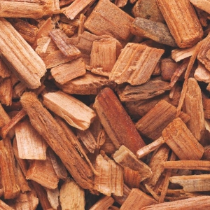 Picture Of Cedarwood Atlas Used To Extract Cedarwood Atlas Essential Oil From