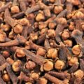 Picture Of Clove Bud Used To Extract Clove Bud Essential Oil From