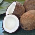 Picture Of Coconut Used To Extract Coconut Carrier Oil From