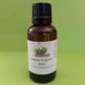 Lavender Bulgarian Conventional 30ml Picture Of Lavender Bulgarian Conventional 30ml