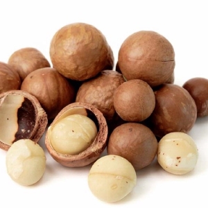 Picture Of Macadamia Used To Extract Macadamia Carrier Oil From