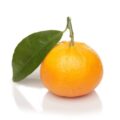 Picture Of Mandarin used to Extract Mandarin Essential Oil From