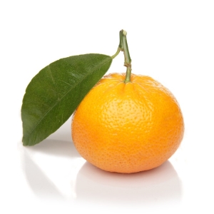 Picture Of Mandarin used to Extract Mandarin Essential Oil From