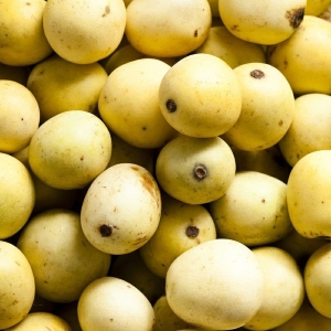 Picture Of Marula Fruits Used To Extract Marula Carrier Oil