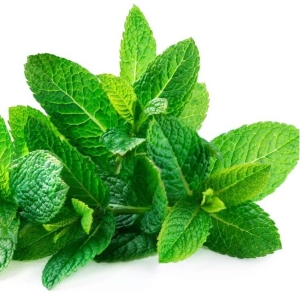 Picture Of Mint Used To Extract Mint Essential Oil From