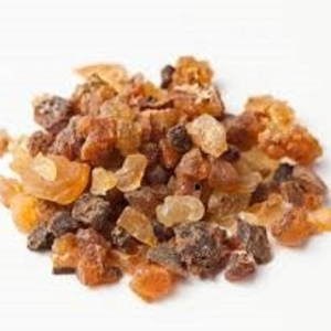 Picture Of Myrrh Used to Extract Myrrh Wildii Essential Oil From