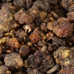 Picture Of Opoponax Used To Extract Opoponax Essential Oil From