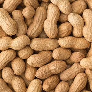 Picture Of Peanuts Used To Extract Peanut Carrier Oil From