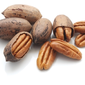 Picture Of Pecan Nuts Used To Extract Pecan Carrier Oil From