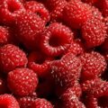 Picture Of Raspberry Used to Extract Raspberry Seed Carrier Oil From