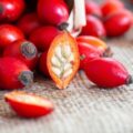 Picture Of Rosehip Used To Extract Rosehip Carrier Oil From