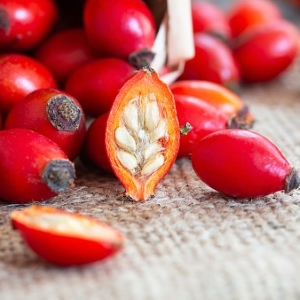 Picture Of Rosehip Used To Extract Rosehip Carrier Oil From