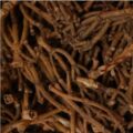 Picture Of Clove Stem Used To Extract Clove Stem Essential Oil From